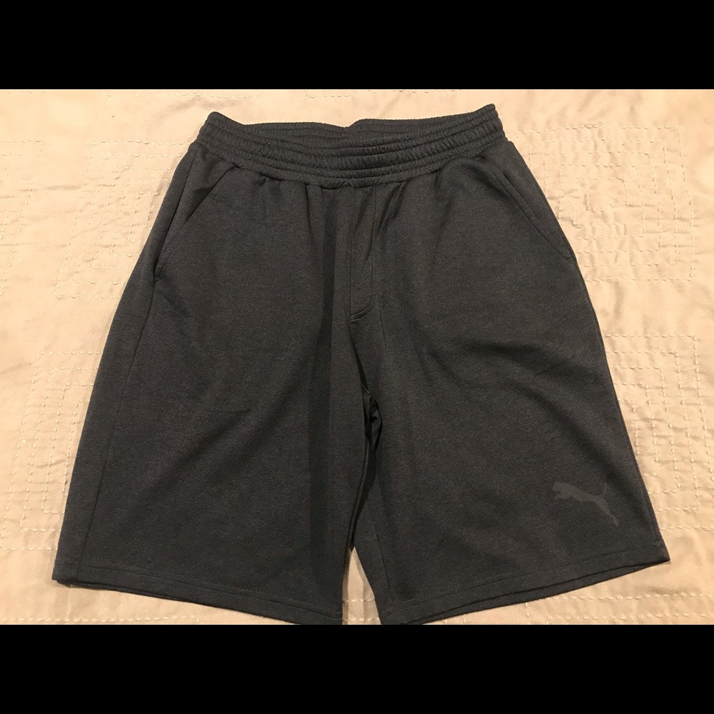 Puma shorts, Adult Medium